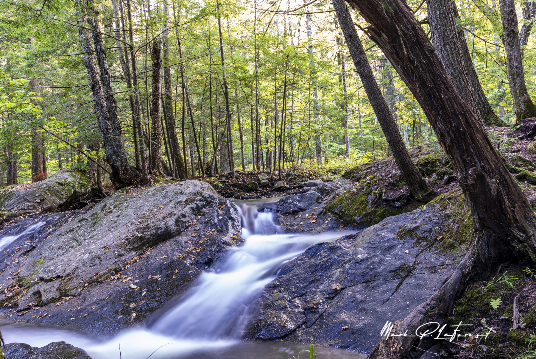 Thunder Book, Killington, Vermont